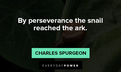 you got this quotes about by perseverance the snail reached the ark