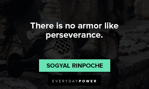 you got this quotes on there is no armor like perseverance