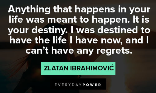 Top Zlatan Ibrahimović quotes