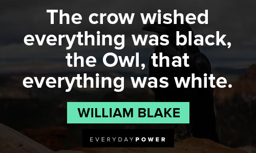 Amazing crow quotes