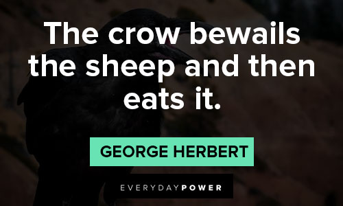 crow quotes about the crow bewails the sheep and then eats it