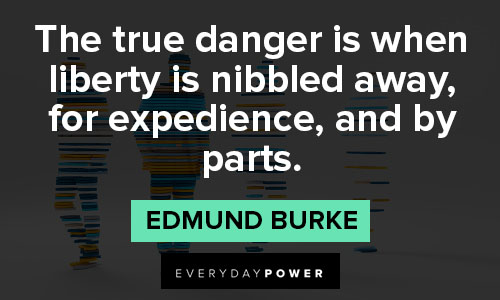 Edmund Burke quotes about the pursuit of liberty