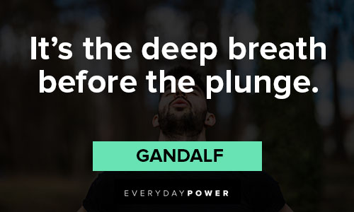 Gandalf quotes about it's the deep breath before the plunge