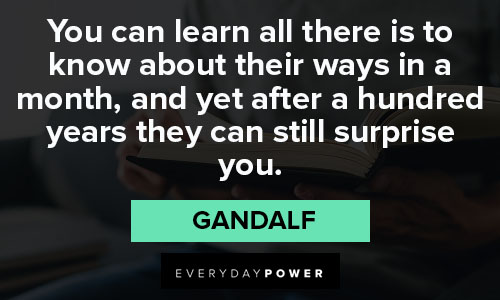 Relatable Gandalf quotes