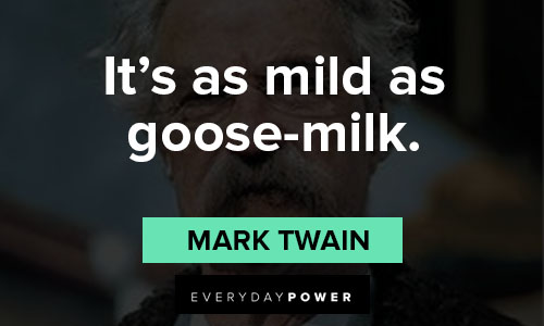 Huckleberry Finn quotes about it’s as mild as goose-milk
