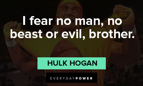 Hulk Hogan quotes about beast or evil