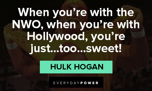 Top Hulk Hogan quotes