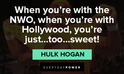 Hollywood hogan clearance quotes