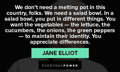 Jane Elliot quotes about our country