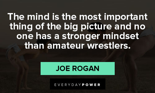 Joe Rogan quotes about wrestling