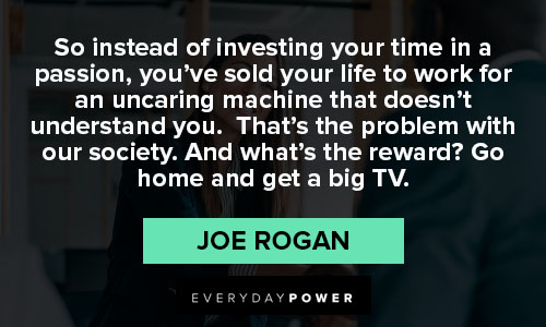 Joe Rogan quotes and sayings