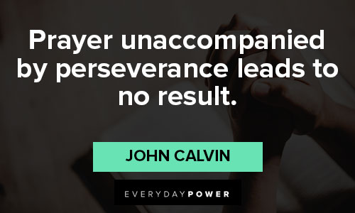 Unique John Calvin Quotes