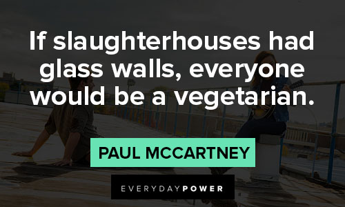 Relatable Paul McCartney quotes