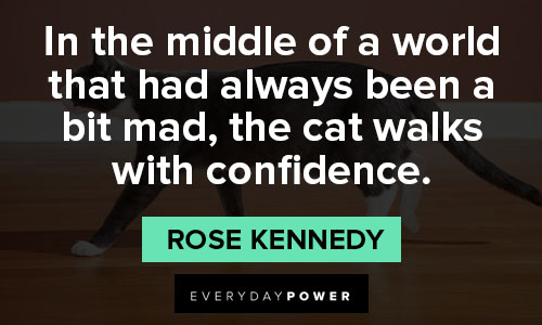 Epic Rose Kennedy quotes