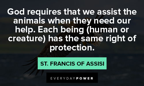 St. Francis of Assisi quotes about animals and nature