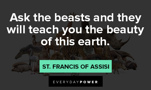 St. Francis of Assisi quotes that will encourage you