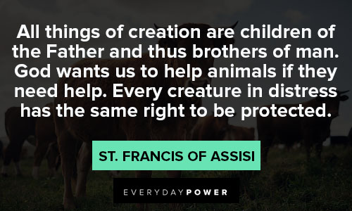 Epic St. Francis of Assisi quotes