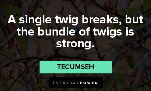 Unique Tecumseh quotes