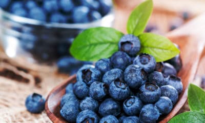 Blueberry Quotes About Nature's Sweet Treat