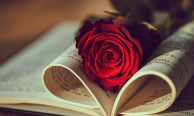 A Rose for Emily Quotes to Unveil the Secrets of Emily