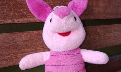 Piglet Quotes to Finding Joy in the Simple Things