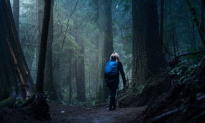 Trailblazer Quotes For Breaking New Ground