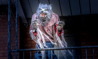 Werewolf Quotes that are Truly Mystical