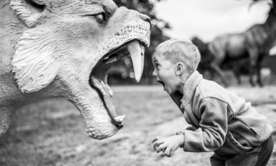 Bravery Quotes to Help You Push Through Fear