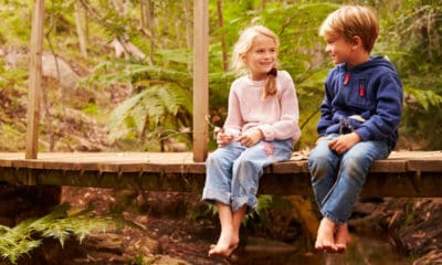 Bridge to Terabithia Quotes from the Classic Tale