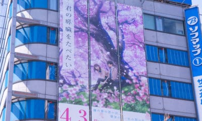 I Want to Eat Your Pancreas Quotes From the Popular Japanese Coming of Age Story