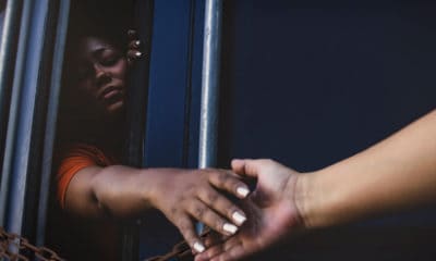 Escape Quotes About the Pursuit of Liberation