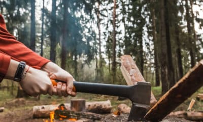 Hatchet Quotes About Overcoming Fear And Survival