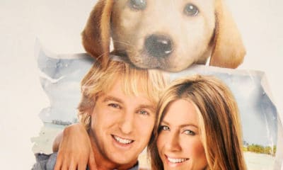 Marley and Me movie promo, puppy with ripped picture in his mouth