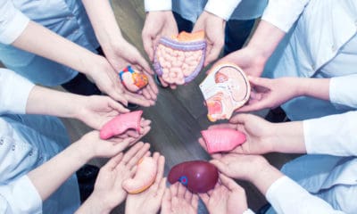 Circle of hands holding plastic organs, organ donation