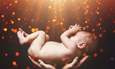 Reincarnation Quotes Unveiling the Eternal Journey