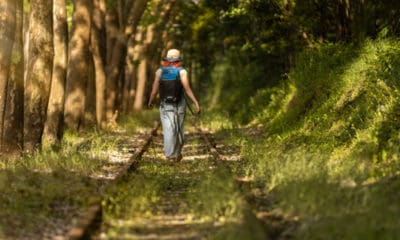 Vagabond Quotes For Walking The Loner’s Path