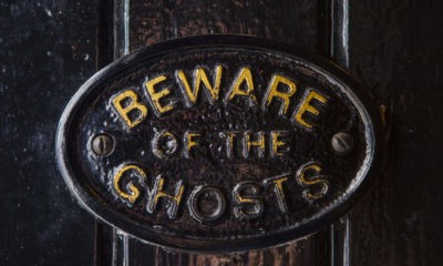 Signs Quotes for Thriller Movie Enthusiasts