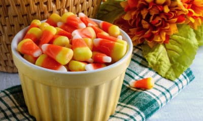 Candy Corn: The Corn Syrup Enigma of Halloween